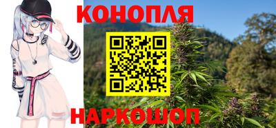 spice Кунгур
