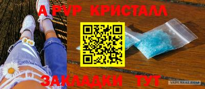spice Кунгур