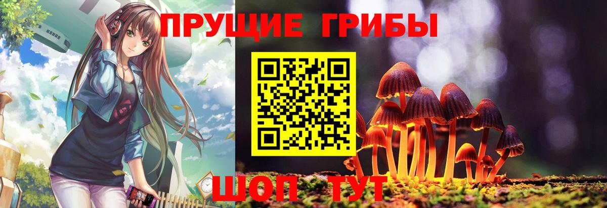 купить наркотики сайты  Галлюциногенные грибы MAGIC MUSHROOMS  Псилоцибиновые грибы мухоморы  Вход с VPN  Чайковский 